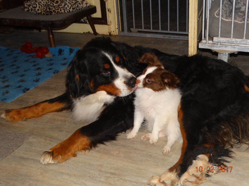 Mirabelle De La Vallée De La Py