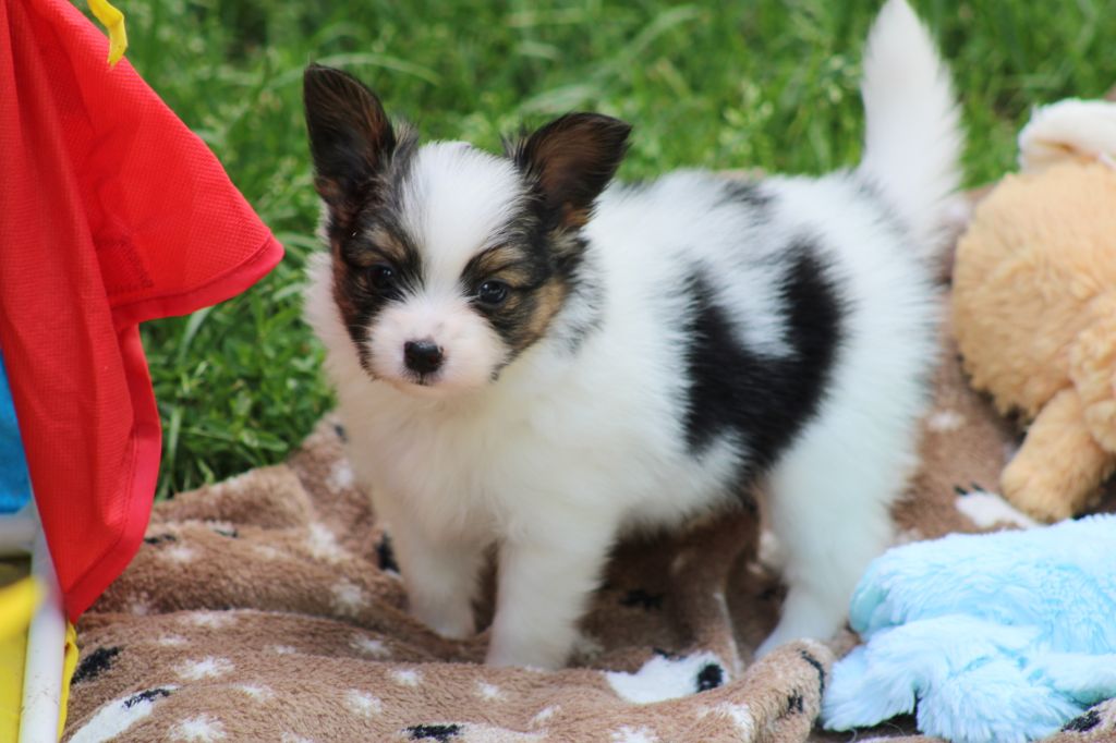 Ricky De La Vallée De La Py