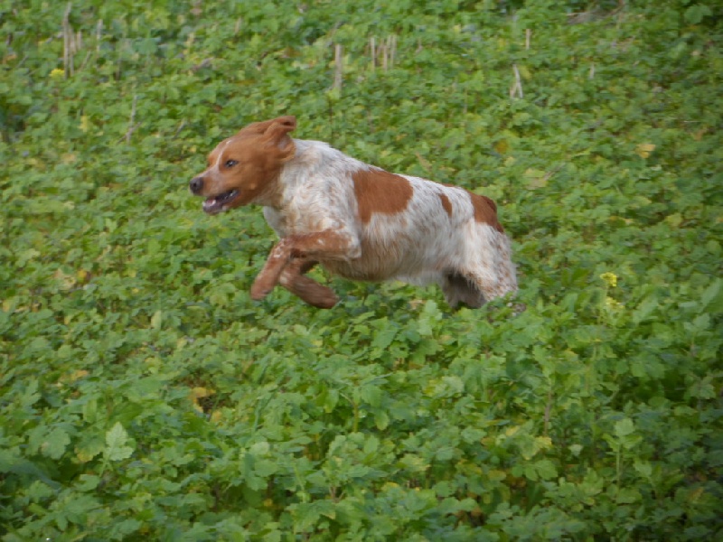 Hulma De La Vallée De La Py