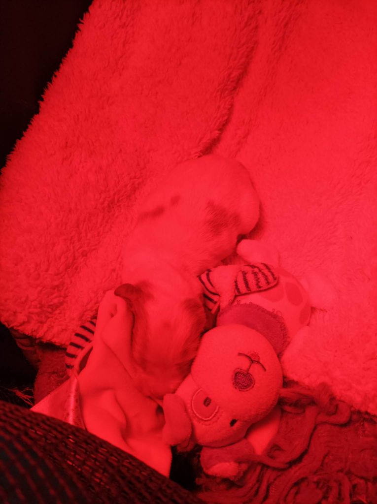 Tcho De La Vallée De La Py