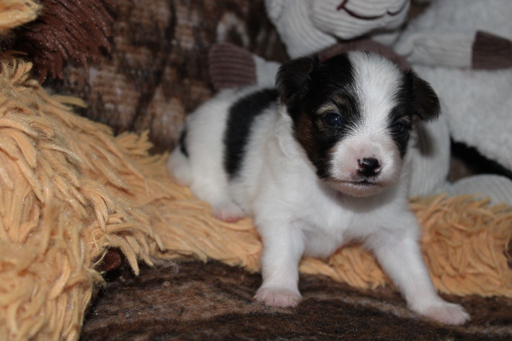 Ricky De La Vallée De La Py