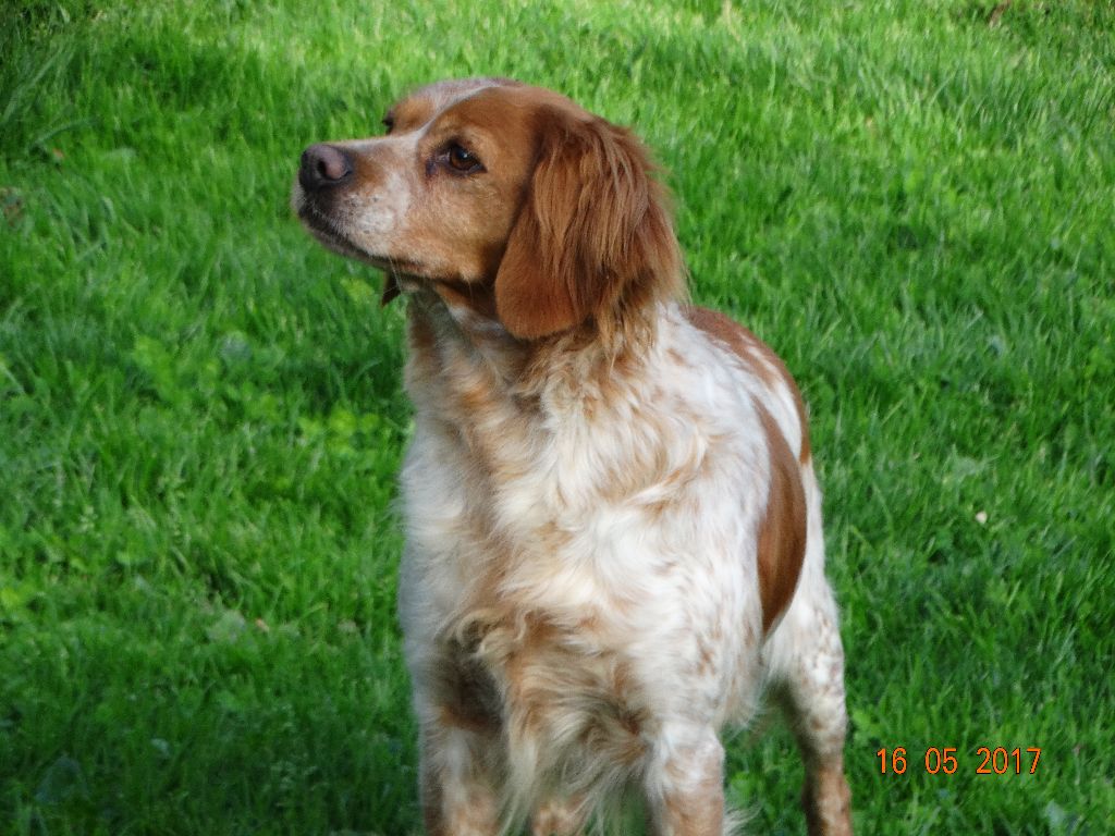 Hulma De La Vallée De La Py