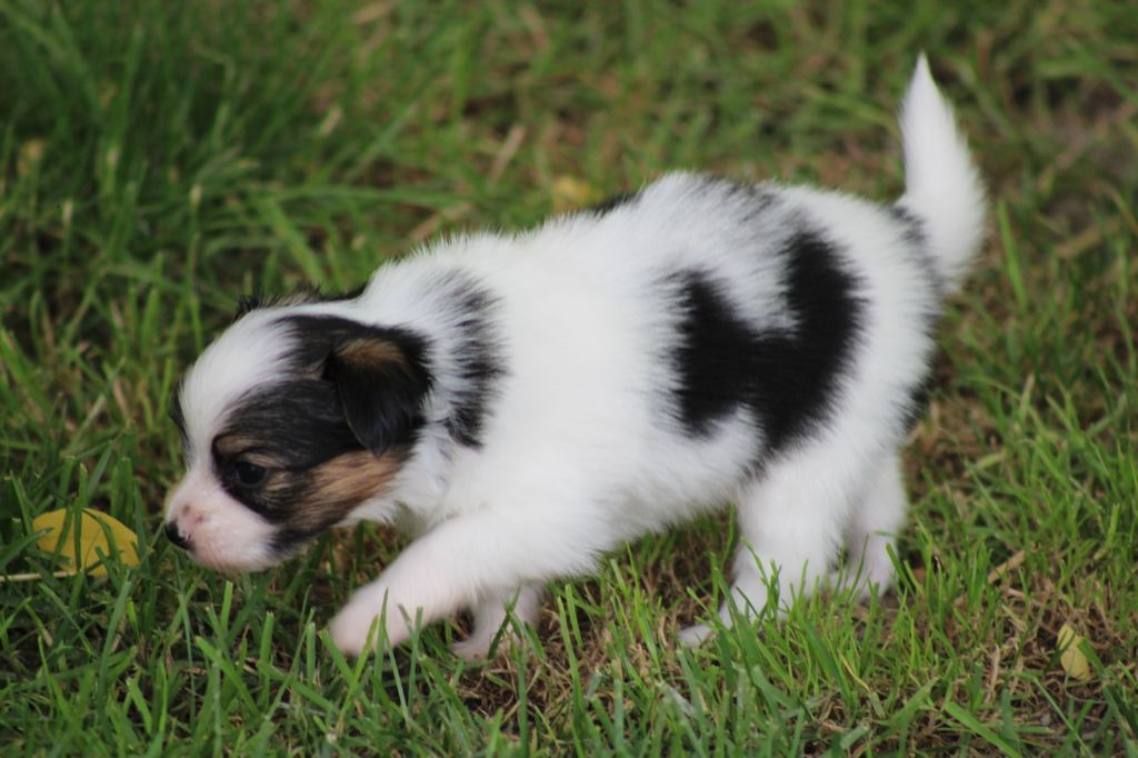 Ricky De La Vallée De La Py