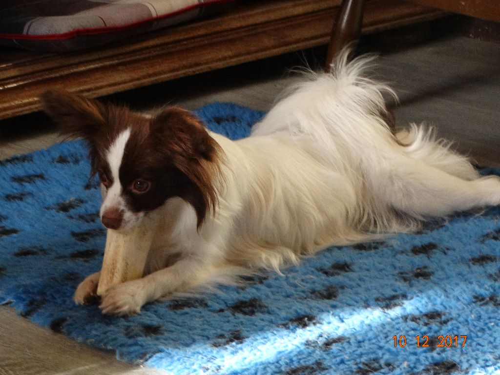 Mirabelle De La Vallée De La Py