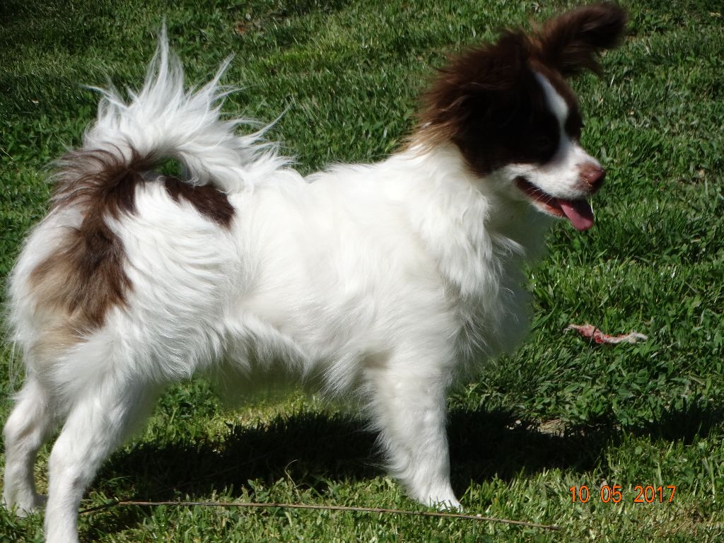 Mirabelle De La Vallée De La Py