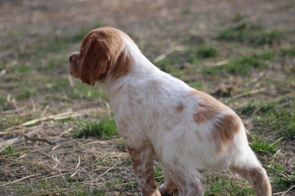 Artus De La Vallée De La Py