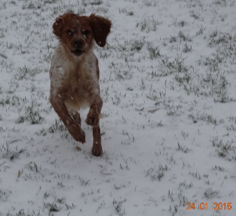 Hulma De La Vallée De La Py