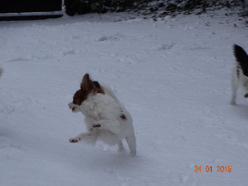 Jepp De La Vallée De La Py