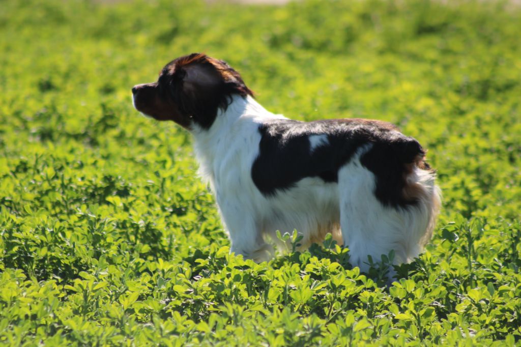 Vidoc De La Vallée De La Py