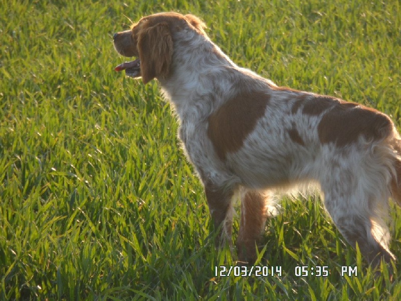 Hulma De La Vallée De La Py