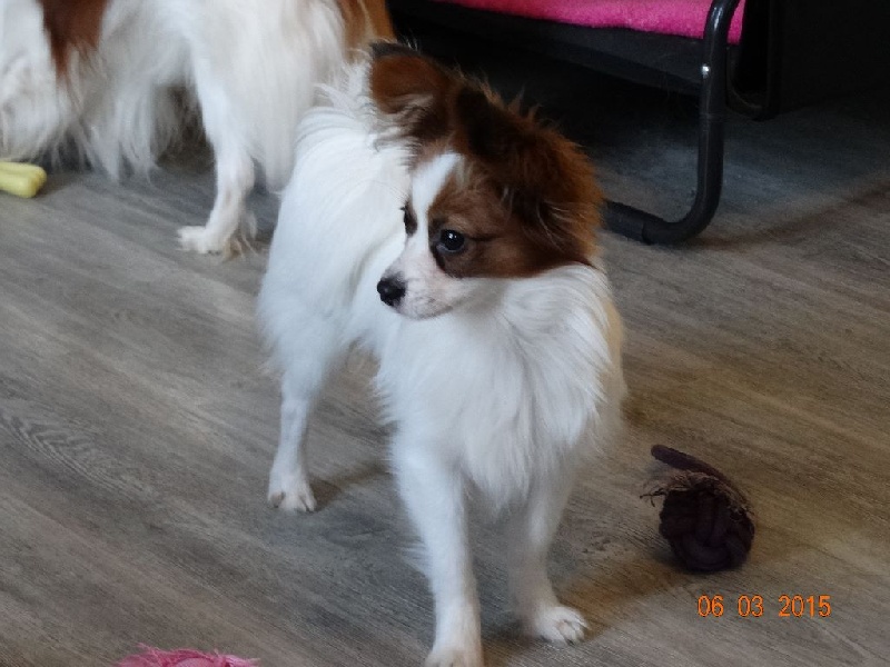 Jepp De La Vallée De La Py