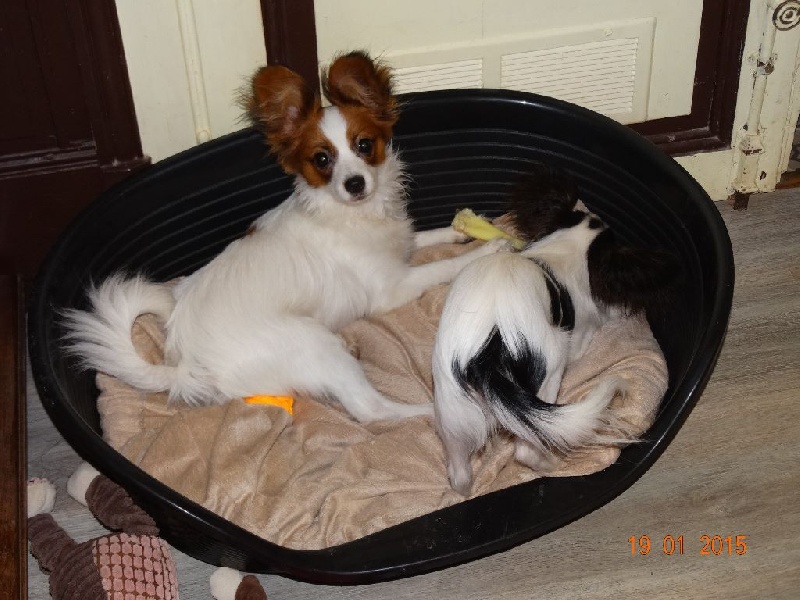 Jepp De La Vallée De La Py