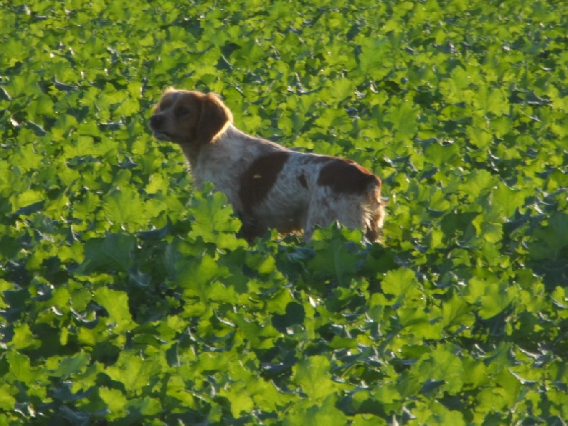 Hulma De La Vallée De La Py