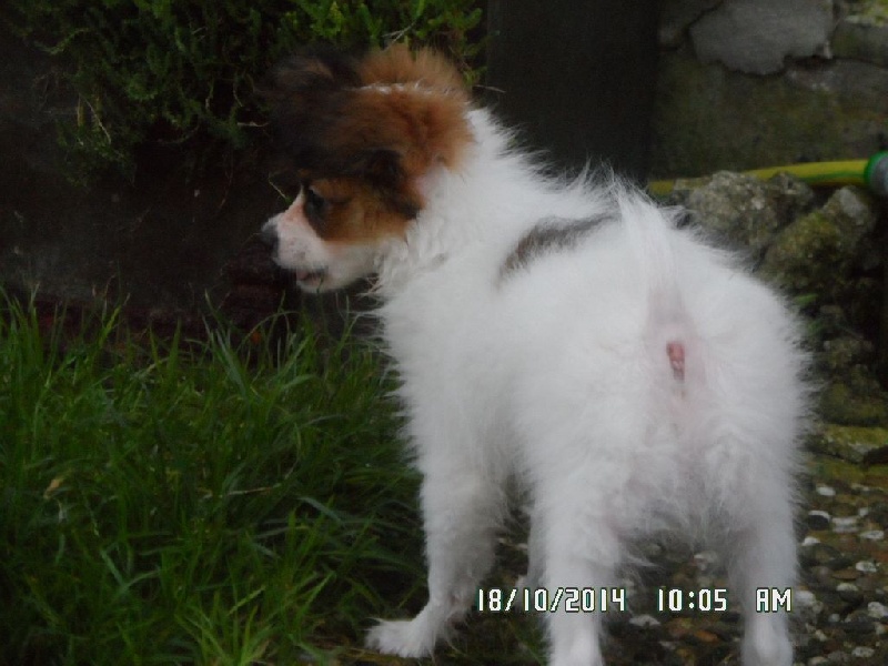 Jepp De La Vallée De La Py