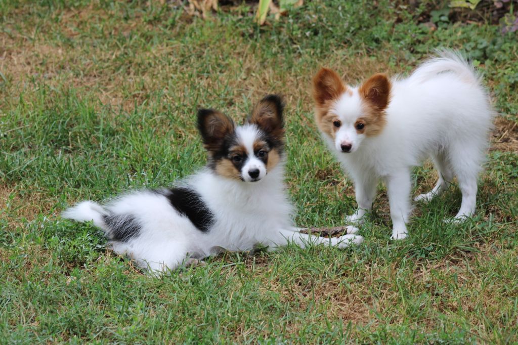 Ricky De La Vallée De La Py