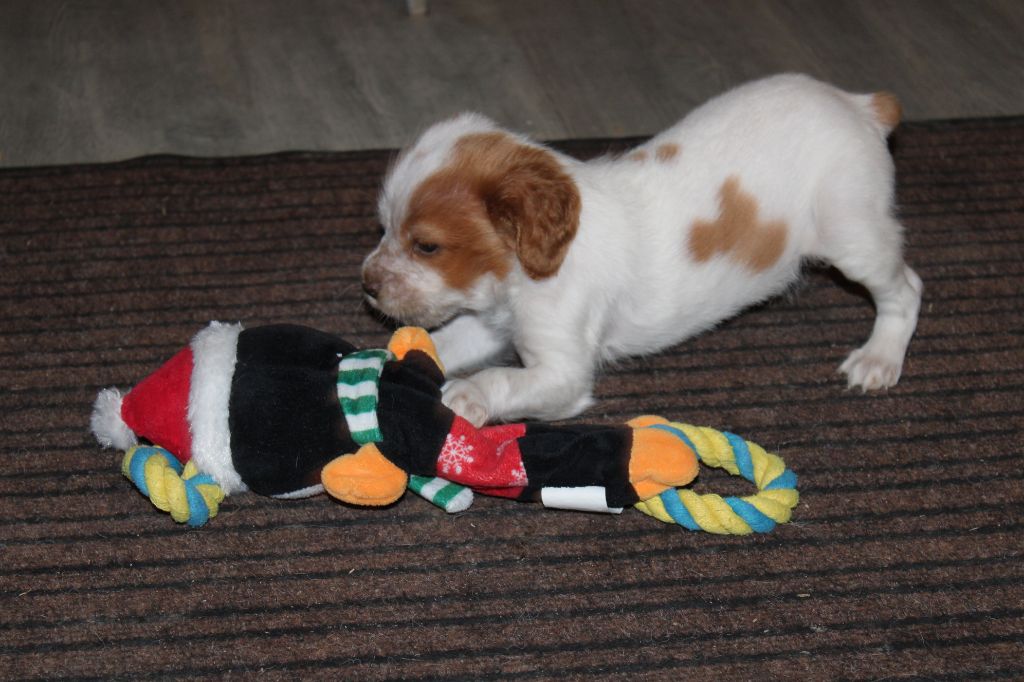 Tcho De La Vallée De La Py