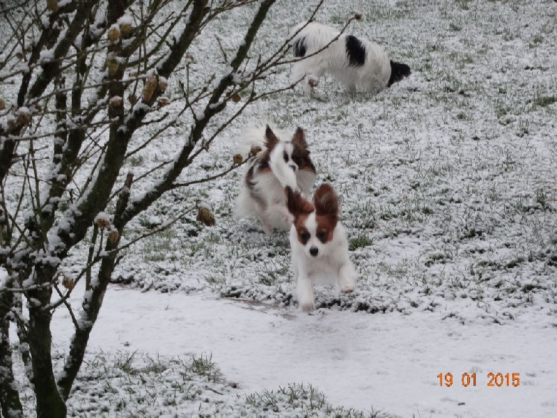 Jepp De La Vallée De La Py