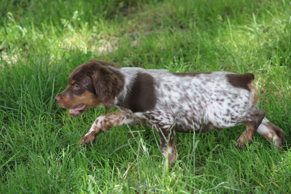 Toto De La Vallée De La Py