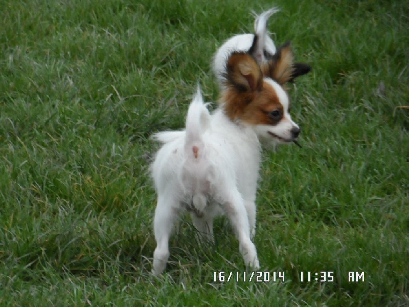 Jepp De La Vallée De La Py