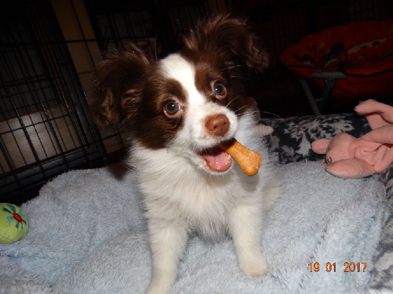 Mirabelle De La Vallée De La Py