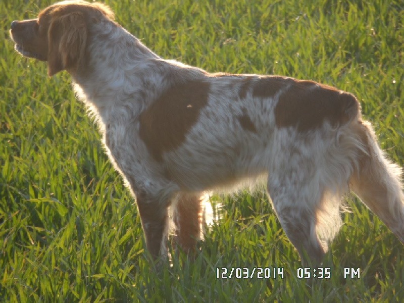 Hulma De La Vallée De La Py