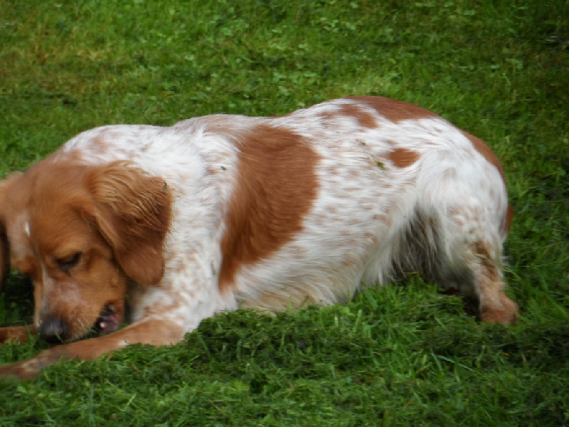 Hulma De La Vallée De La Py