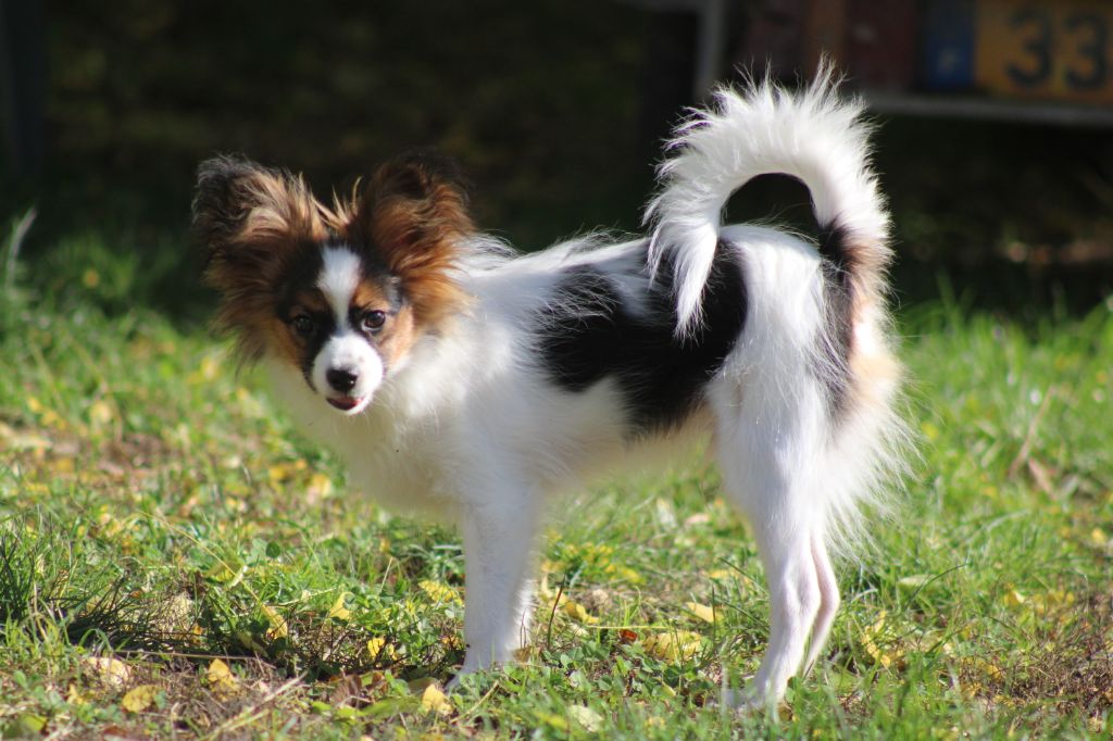 Ricky De La Vallée De La Py