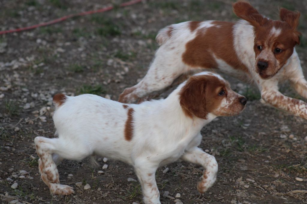 Tcho De La Vallée De La Py
