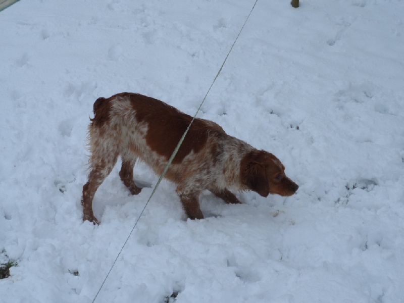 Hulma De La Vallée De La Py