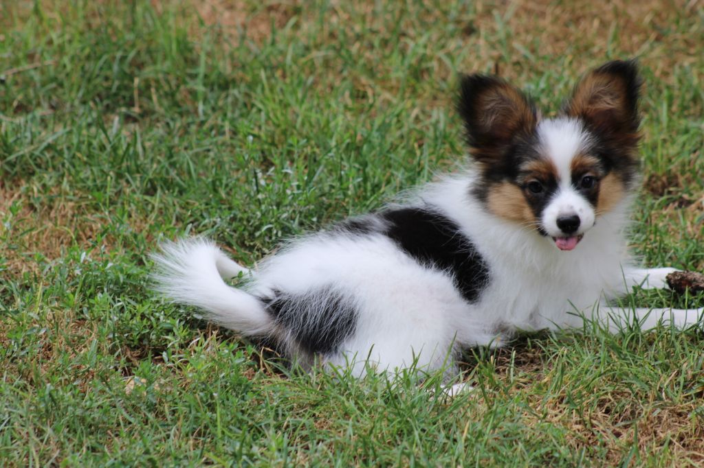 Ricky De La Vallée De La Py