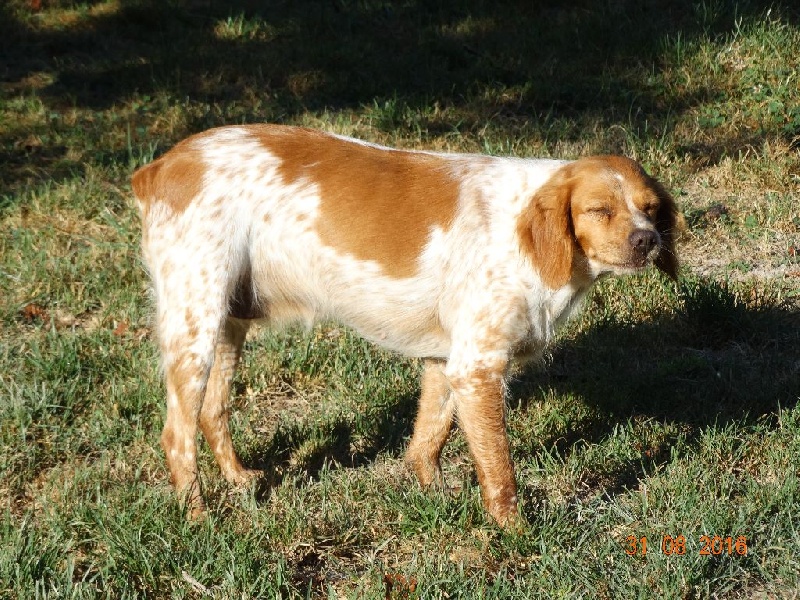 Hulma De La Vallée De La Py