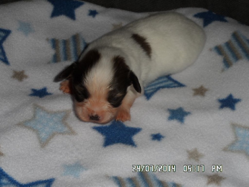 Jepp De La Vallée De La Py