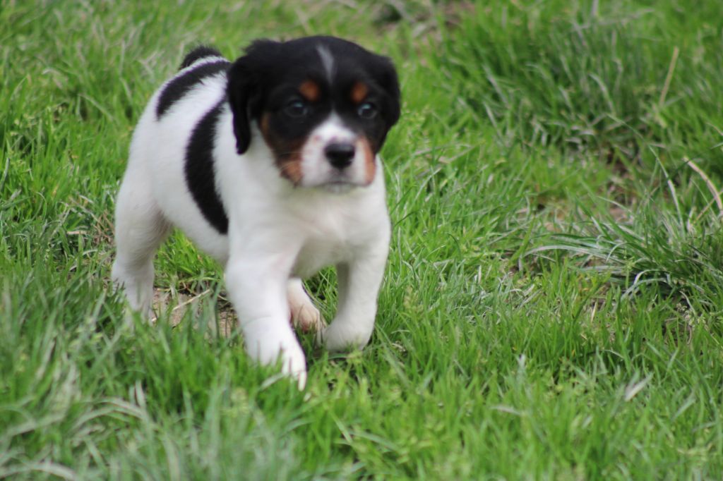 Vidoc De La Vallée De La Py
