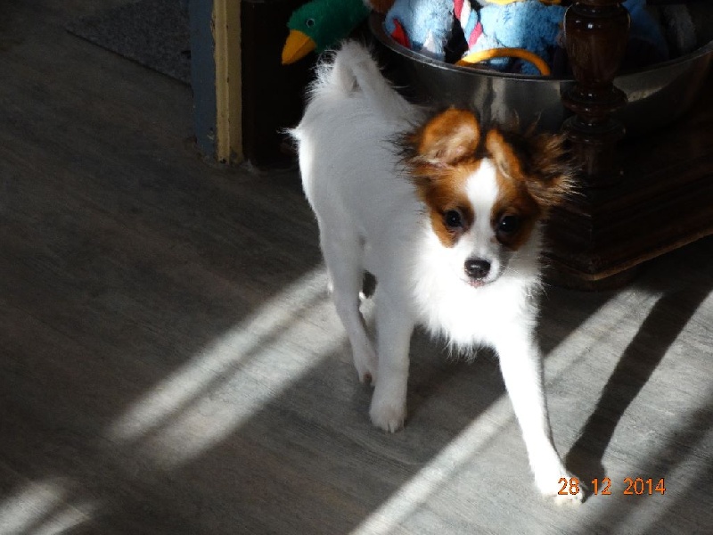 Jepp De La Vallée De La Py