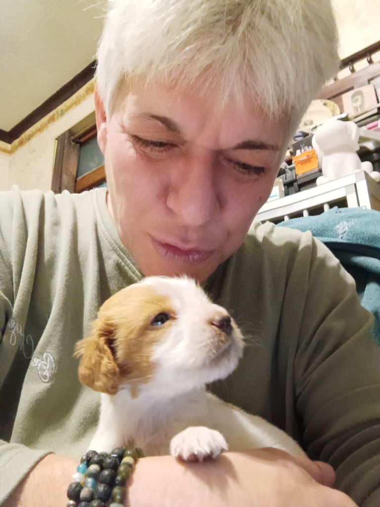 Tcho De La Vallée De La Py