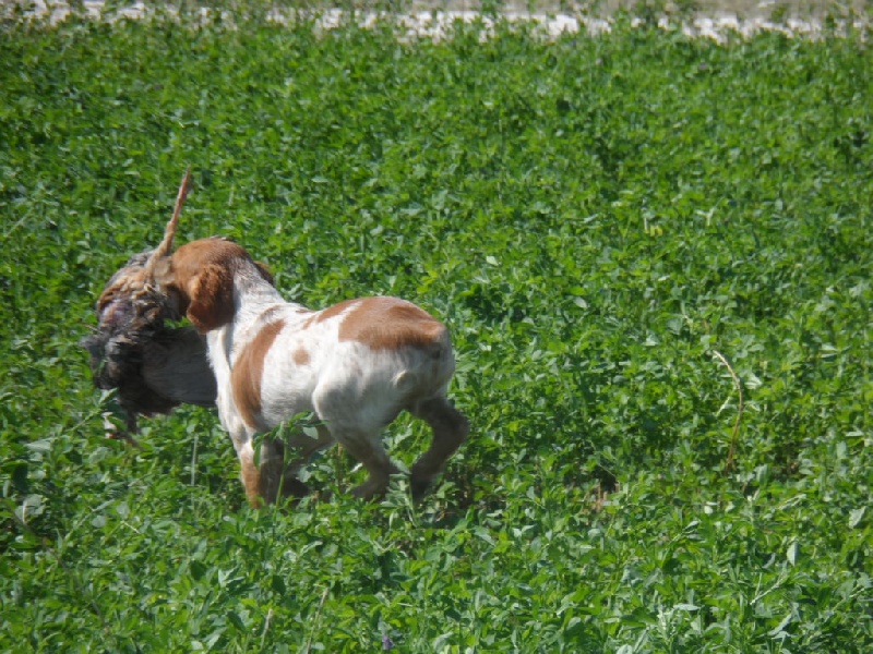 Hulma De La Vallée De La Py