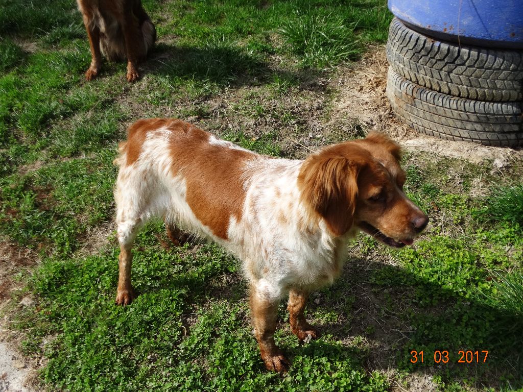 Hulma De La Vallée De La Py