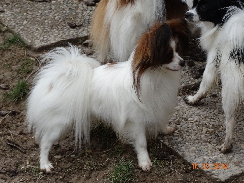 Jepp De La Vallée De La Py