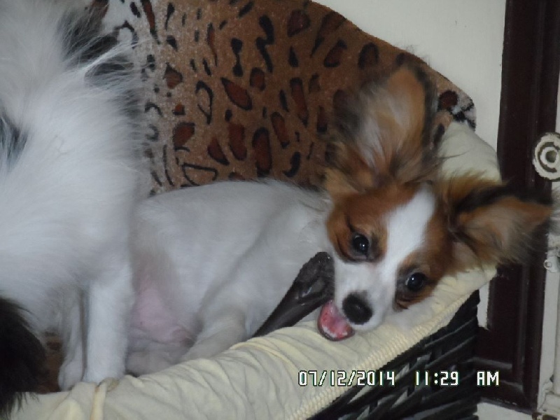 Jepp De La Vallée De La Py