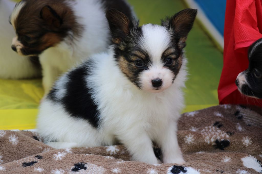 Ricky De La Vallée De La Py