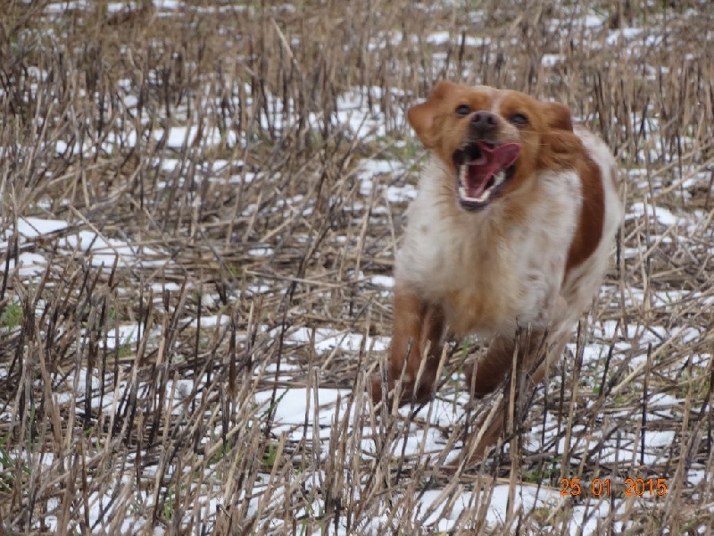 Hulma De La Vallée De La Py