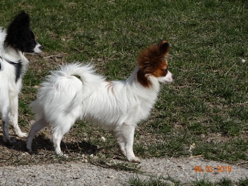 Jepp De La Vallée De La Py