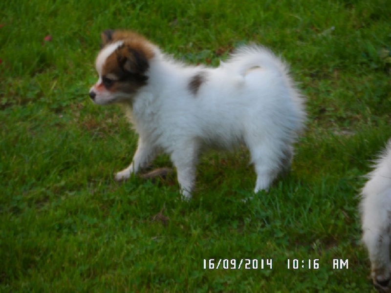 Jepp De La Vallée De La Py