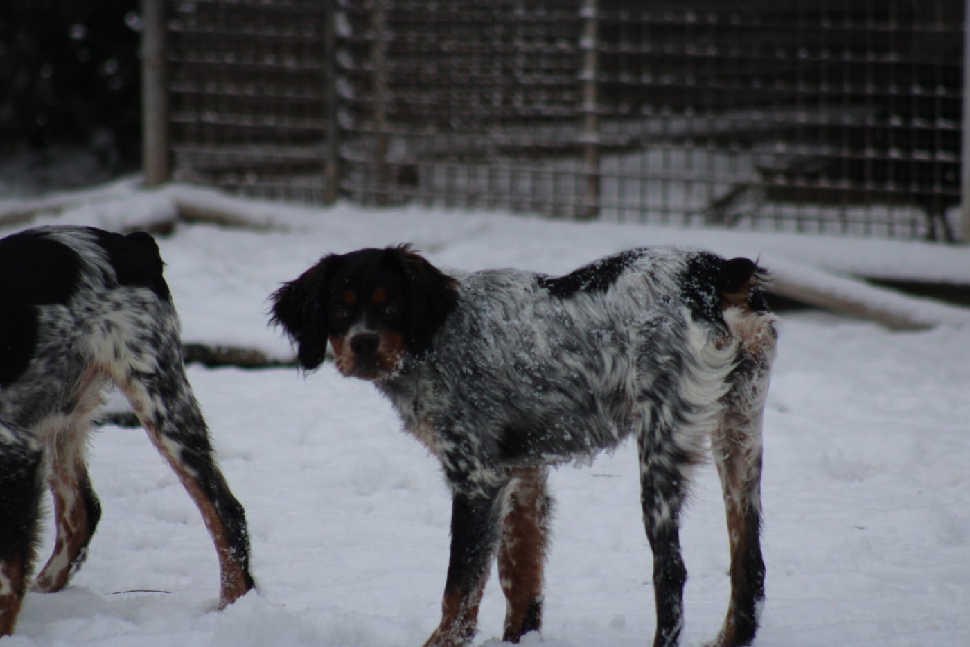 Ava De La Vallée De La Py