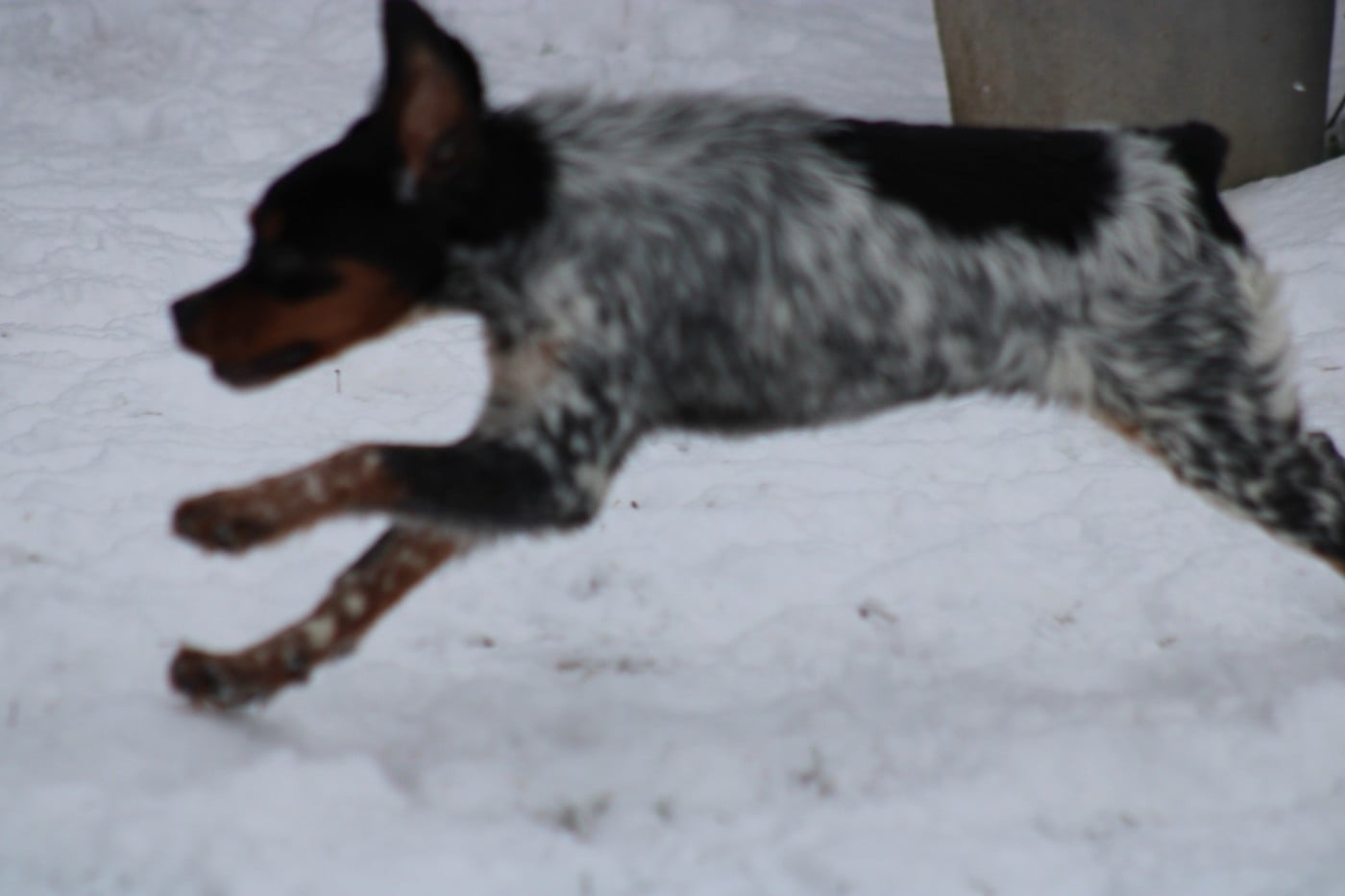 Ava De La Vallée De La Py