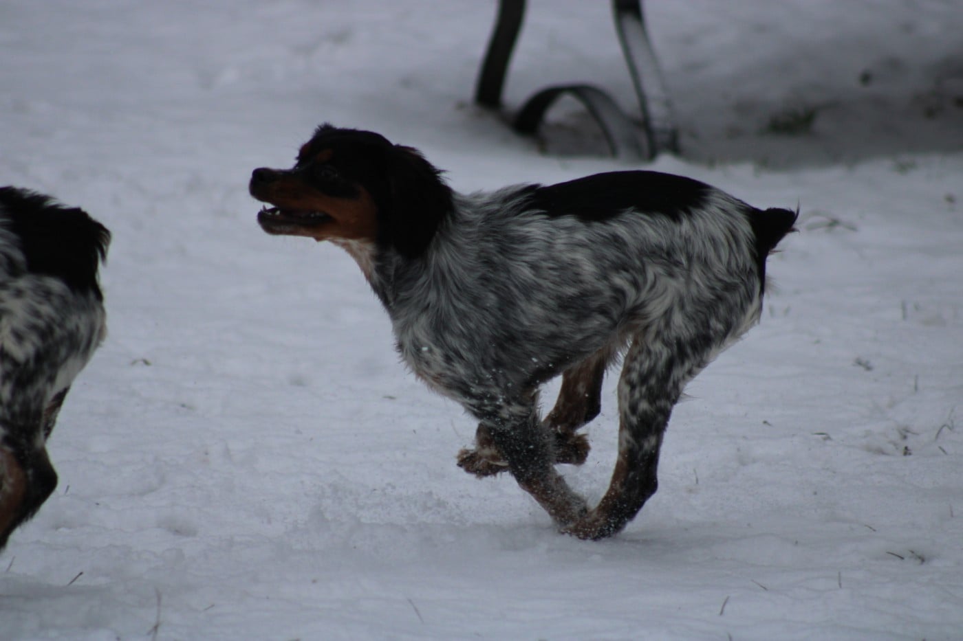 Ava De La Vallée De La Py