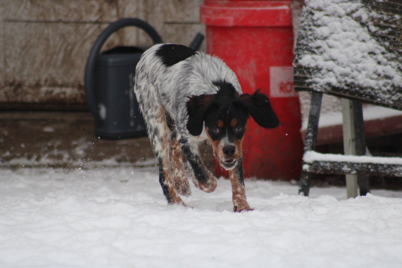Ava De La Vallée De La Py