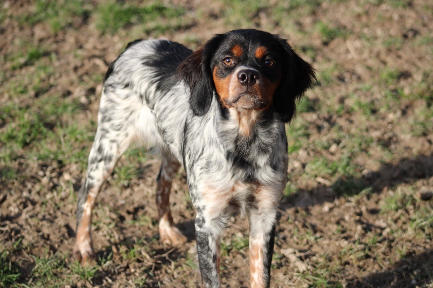 Ava De La Vallée De La Py