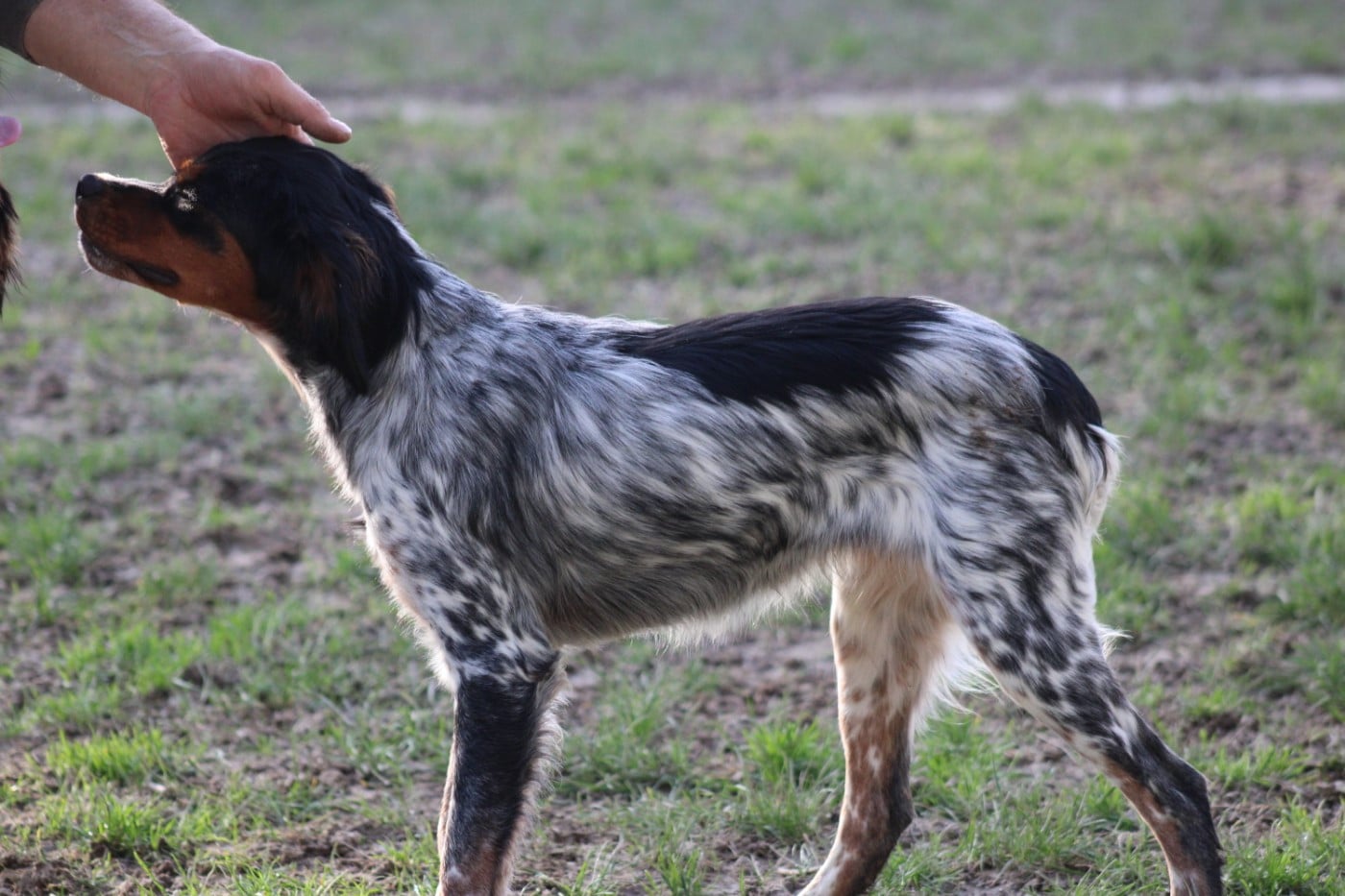 Ava De La Vallée De La Py