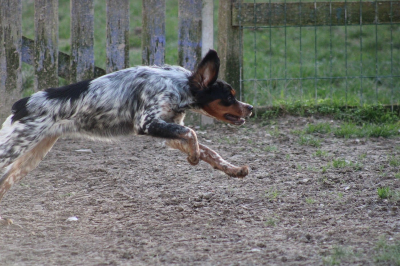 Ava De La Vallée De La Py